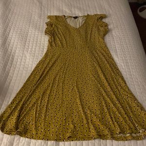 Ann Taylor Dress